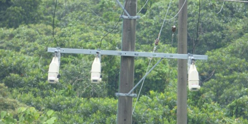 Tripsaver II installed in a tropical area